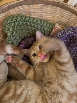 IMG_3409.jpeg