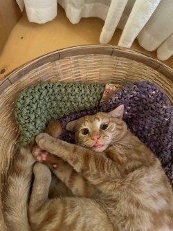IMG_3407.jpeg
