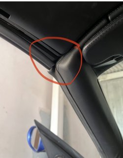 IMG_0257.jpeg