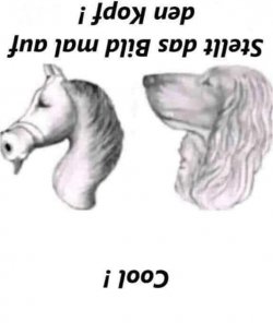 1.jpeg