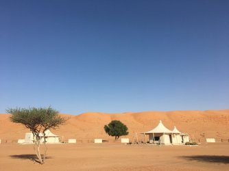 IMG_1330.JPG
