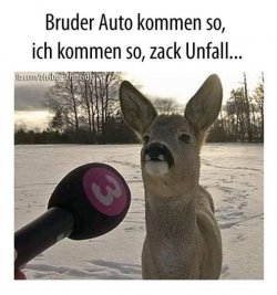 FB_IMG_1699525379347.jpg
