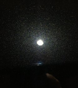 IMG_4805_klein.JPG