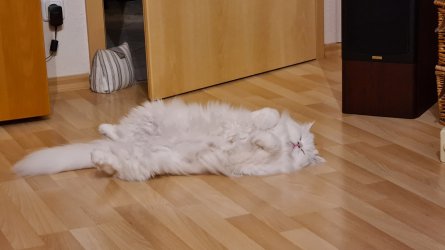 20231110_214736.jpg