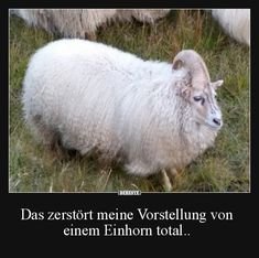 3e09343e990b57990724695fc22c2c0c (1).jpg