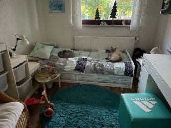 IMG_3837.jpeg