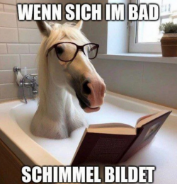 Screenshot 2023-11-14 120900 - Kopie.png