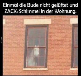 Bildschirmfoto 2023-11-14 um 16.57.03.png
