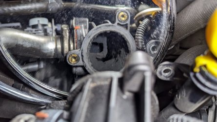 PXL_20231115_080042086_kl.jpg PXL_20231115_080042086_kl.jpg