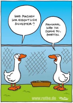 WhatsApp Bild 2023-11-16 um 19.47.02_f2fab08f.jpg