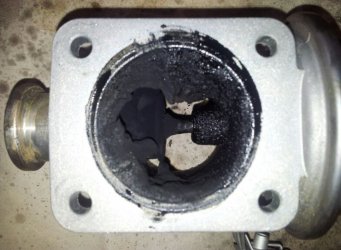 Screenshot_20231116_223130_WhatsApp.jpg Screenshot_20231116_223130_WhatsApp.jpg