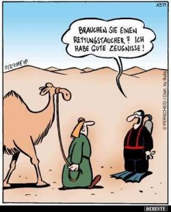 WhatsApp Bild 2023-11-17 um 07.57.45_ab376be1.jpg
