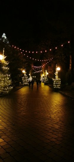 IMG_20231117_181821.jpeg