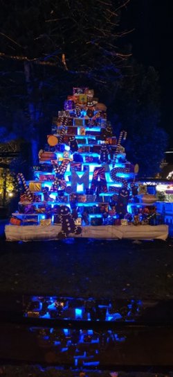 IMG_20231117_181210.jpeg