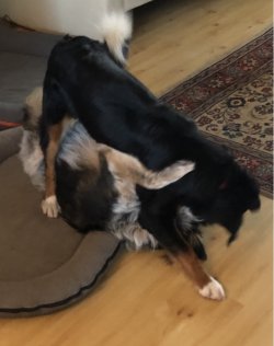 1700513724538.jpeg
