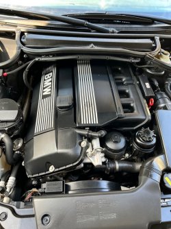 IMG_6204.jpeg