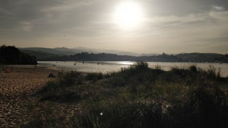 IMG_20231011_181719.jpg