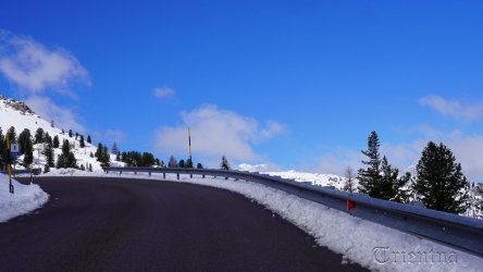 DSC08478.JPG