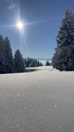 IMG_5418.jpeg