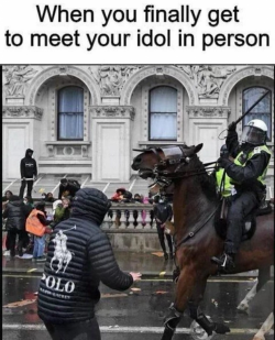 1701694452052.png