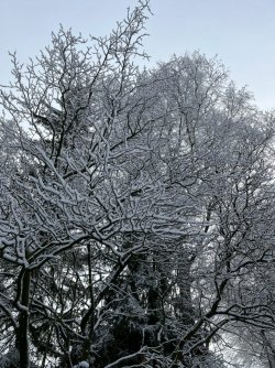 F6CEC723-D231-4D06-AB29-9E0EED5D8C78.jpeg
