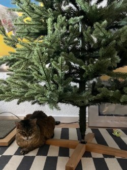 IMG_3976.jpeg