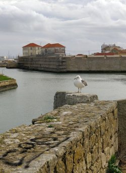 Peniche_07.jpg