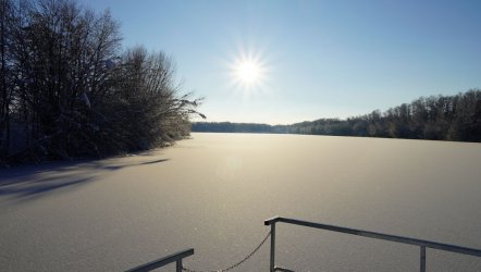 1701952354004_k.jpg