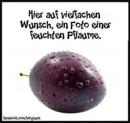 FB_IMG_1702131010225.jpg