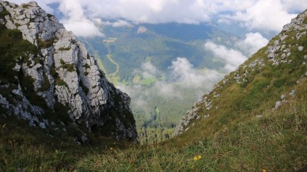 IMG_7278_k.jpg