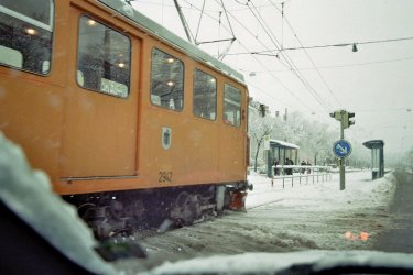 Tram2012b.jpg