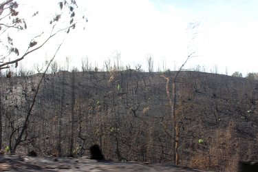 Odeceixe_02_Waldbrand.jpg