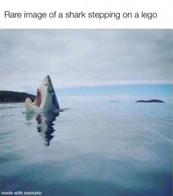 FB_IMG_1702218517214.jpg