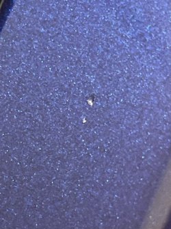 IMG_4196.jpeg