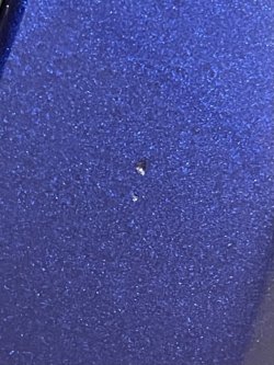 IMG_4202.jpeg