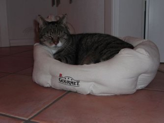 Kuschelplatz1.jpg