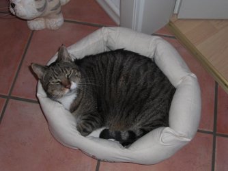 Kuschelplatz2.jpg