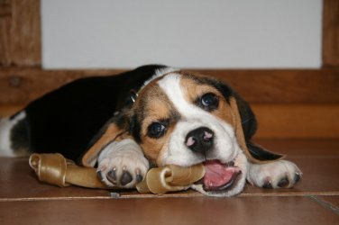 Jule 095_4.jpg Jule 095_4.jpg