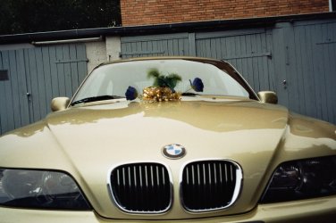 Hochzeitskutsche.jpg