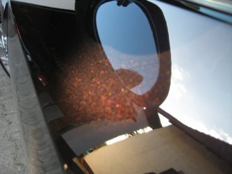 09.jpg