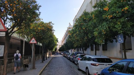 Cadiz_04.jpg