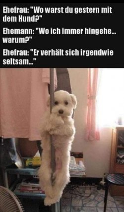 3e65905f-7a92-4da2-a822-a42c3c11e155.jpeg