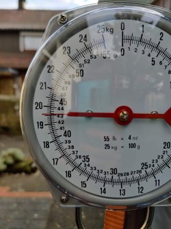 0_IMG_20231220_105447.jpg 0_IMG_20231220_105447.jpg