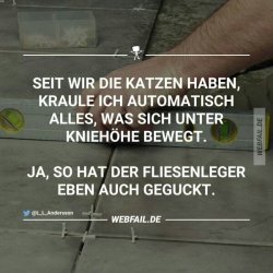 95975ba5-2365-45f5-bf95-f5a1f96de9fe.jpeg