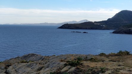 Cebere_07.jpg