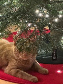 IMG_3882.jpeg