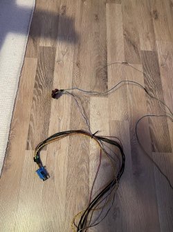 IMG_7035.jpg