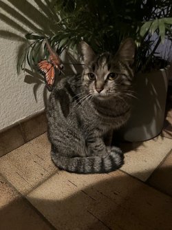 IMG_0031.jpeg