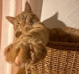 IMG_3998.jpeg