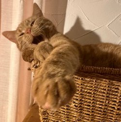 IMG_3999.jpeg